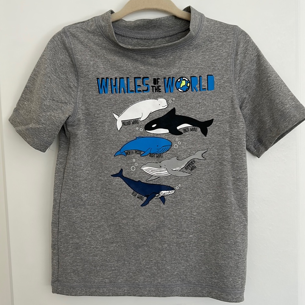 Cat & Jack Grey Whale Short Sleeve Rashguard 2T